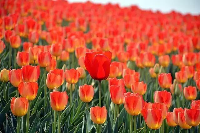 国庆去大连旅游攻略,国庆大连游玩攻略