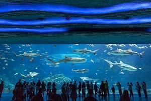 适合打卡一日游的海边,蓝天拥抱大海旅游攻略