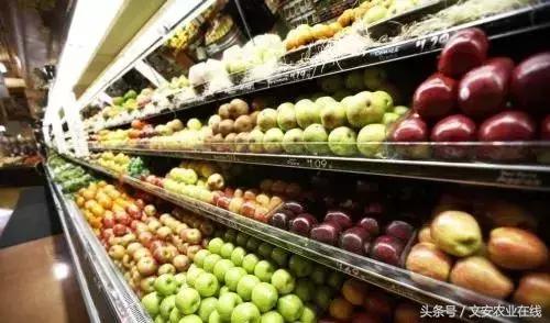 鲜丰水果创始人韩树人老家,鲜丰水果创始人韩树人哪里人