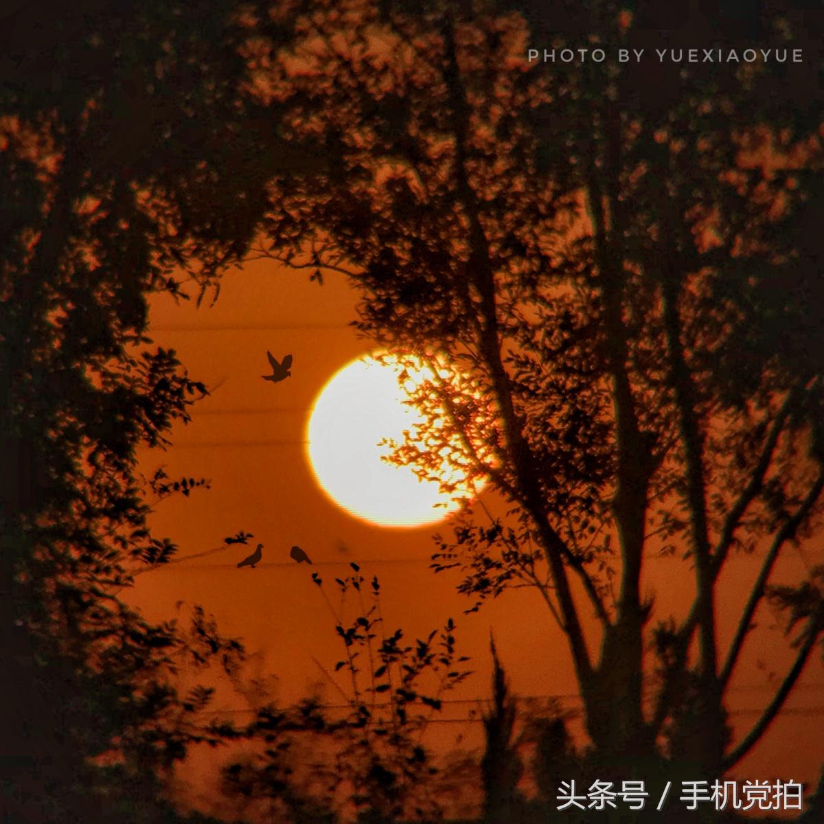 如何判断“日落还是日出”的画面?教你3招巧识别!