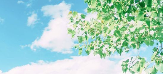 梦见狗缠住腿是什么意思,做梦梦见狗缠我代表什么意思