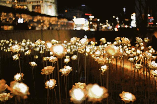 收藏｜这份国庆游玩攻略，助你玩转黔南！