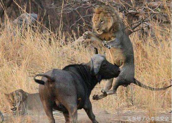 让你不再被插，做一个老司机