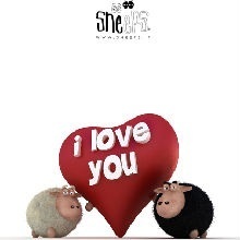 当一个女人没有了经济收入,当一个女人没有感情