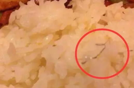 颜值即正义产品推荐,颜值即正义系列全集