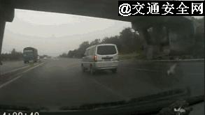 高速上遇到动物了正确处理方法,救命贴