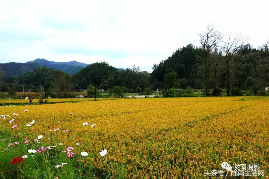 陇南徽县游龙川,徽县游龙川李家寺