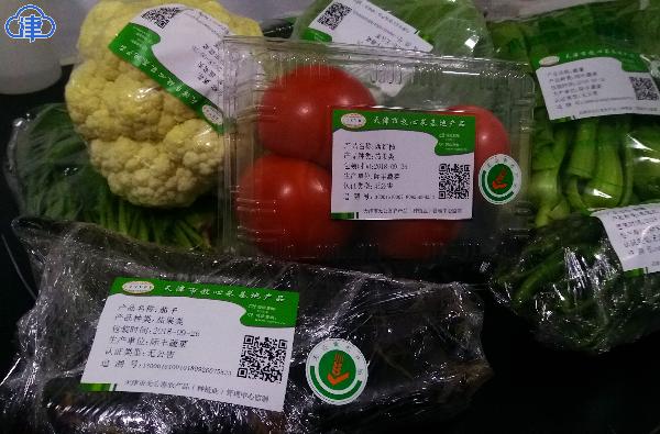 天津市农业科技园区建设方案,天津现代农业产业园运营模式