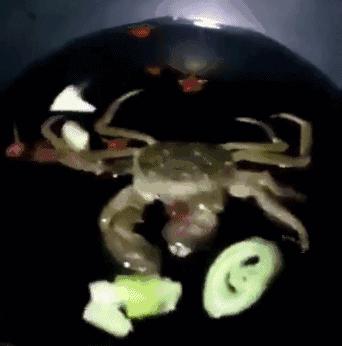 大闸蟹基础知识,大闸蟹科普知识