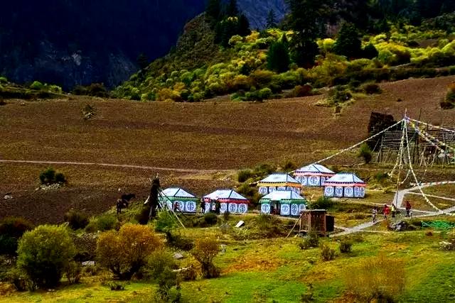 甘南秋天,甘南州的秋天