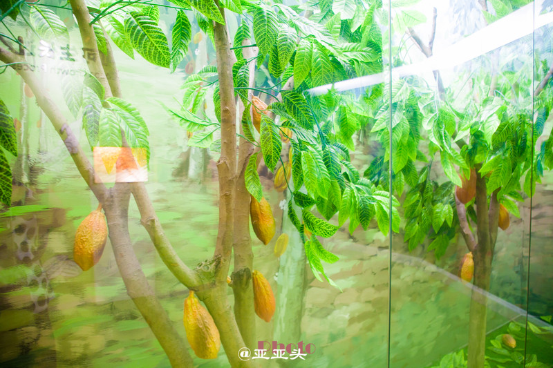 十一小长假带婴儿去哪里玩,十一长假想带孩子旅游长见识