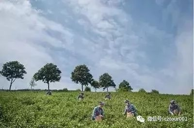 常州十大轻奢民宿,常州10天便宜民宿推荐