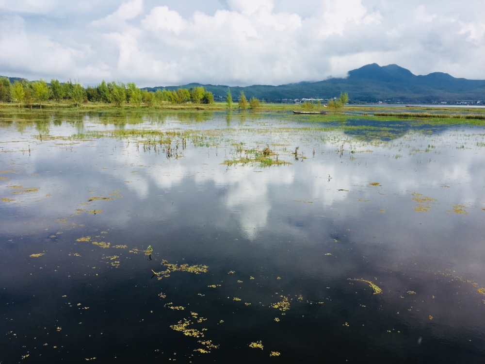 丽江旅游拉市海攻略,丽江拉市海怎么样值得旅游吗