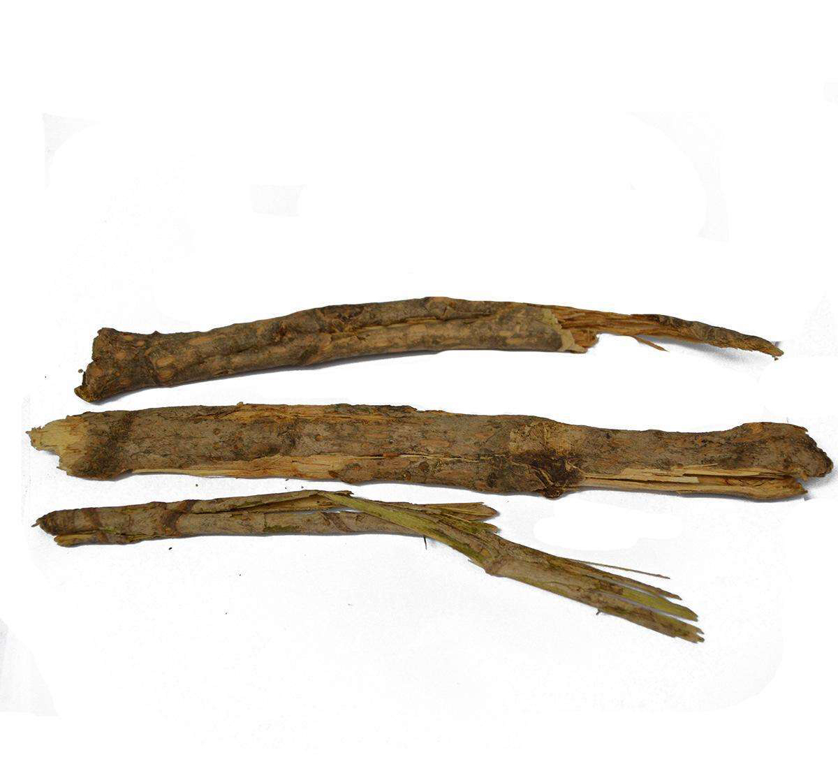 中草药龙牙楤图片,中药刺龙芽