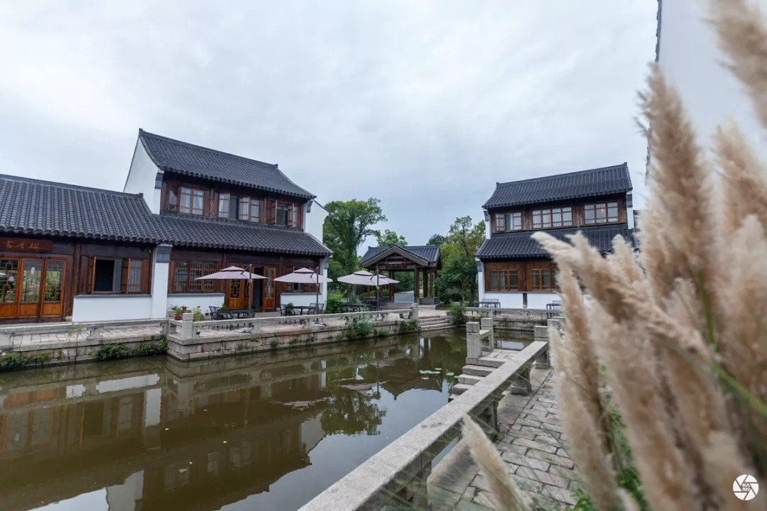 阳澄湖旅游吃大闸蟹民宿,沙家浜景区芦花湾住宿