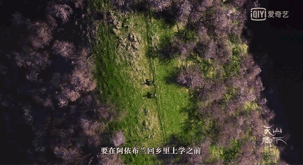 *疆新**，你除了牛羊还有什么？