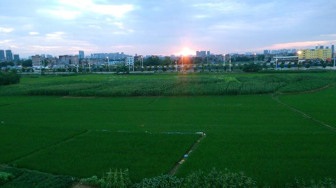 江南区沙井街道,江南沙井