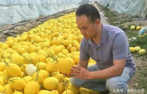 鲜丰韩树人,杭州鲜丰水果韩树人