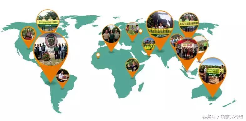 鲜丰韩树人,杭州鲜丰水果韩树人