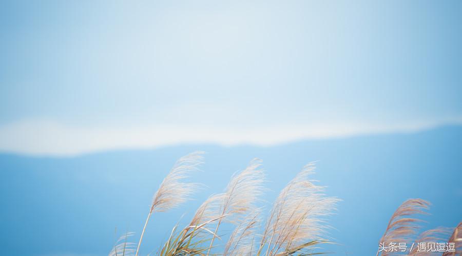 嫁给穷小子后来都怎么样了,嫁给穷小子的女人为什么都后悔了