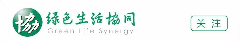 鞋子发黄发霉怎么变白生活小妙招,鞋子发霉了怎么洗掉黑点