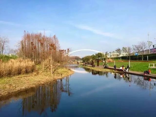 上海三天两夜旅游攻略1000元,上海旅游2-3天详细攻略性价比