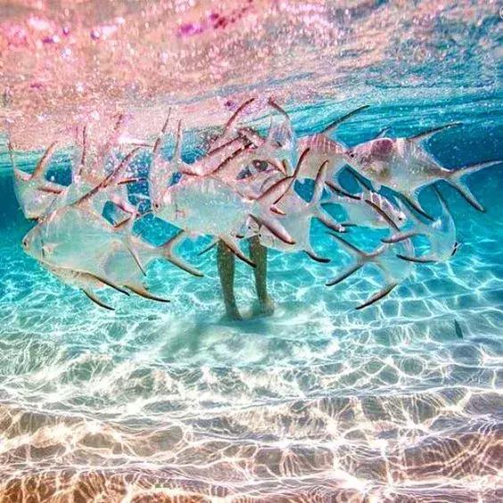 我喜欢旅行不是因为我多有钱,去旅行不是因为有钱有时间