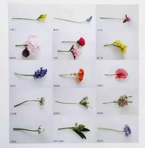 插花教程新手入门培训,插花花艺教程新手入门零基础