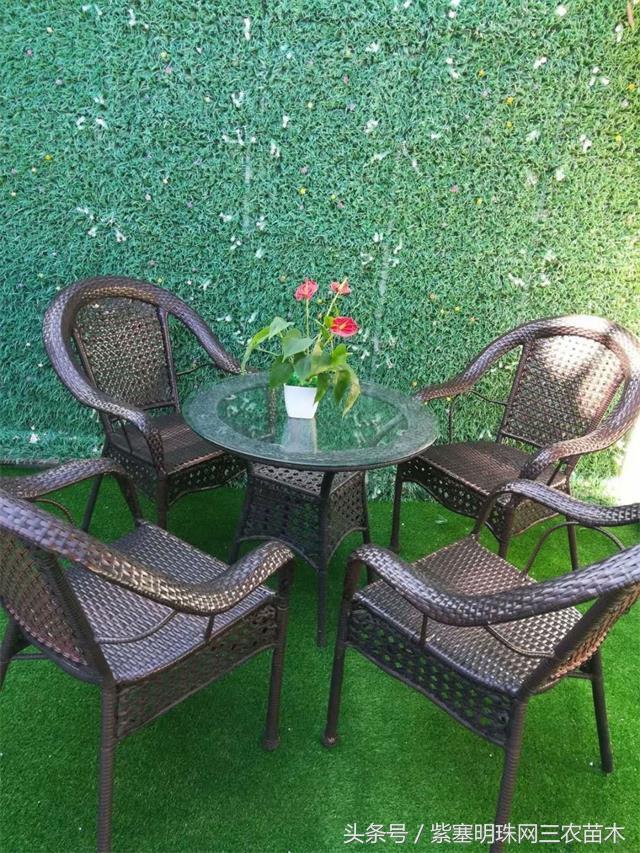 北京龙庆峡民宿,北京龙庆峡民宿第一名