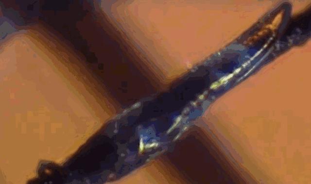 吃活物有寄生虫,吃活的虫子身体里有寄生虫