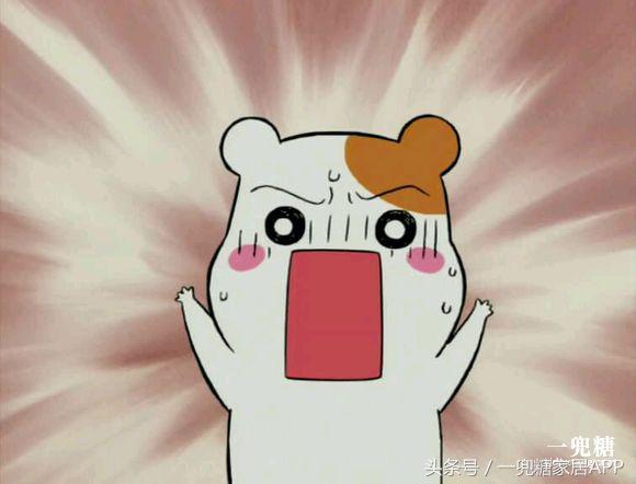 可以封闭可以做开放的厨房,让橱柜更美观实用的秘诀不容错过