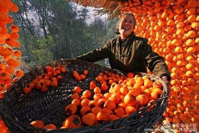 《白浪情丰收节、中秋节、国庆节休闲晚会》优秀作品选登