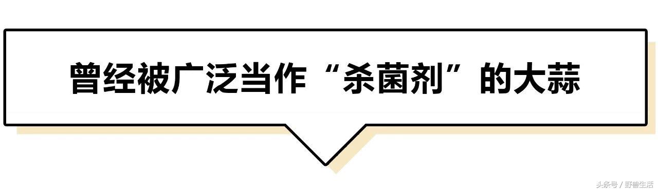 大蒜片一天吃多少最好,大蒜的保健吃法和注意点