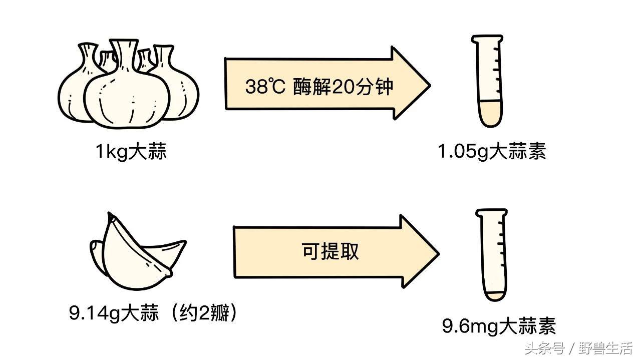 大蒜片一天吃多少最好,大蒜的保健吃法和注意点
