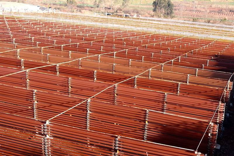 虾青素价格多少钱一吨,虾青素价格一般多少钱