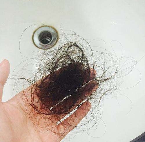 卫生间脱落的头发怎么处理,卫生间头发清理妙招