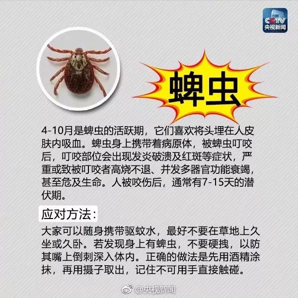 广西蚂蚁咬人事件,广西有种蚂蚁被咬全身痒