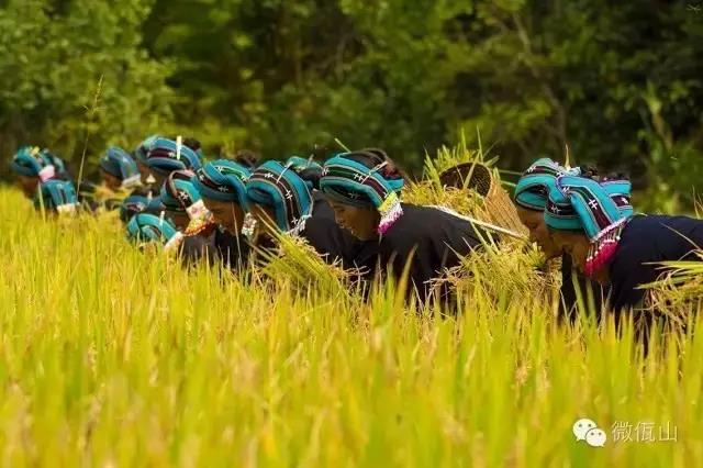 国庆云南周边旅游景点推荐,国庆去云南旅游景点有哪些要求