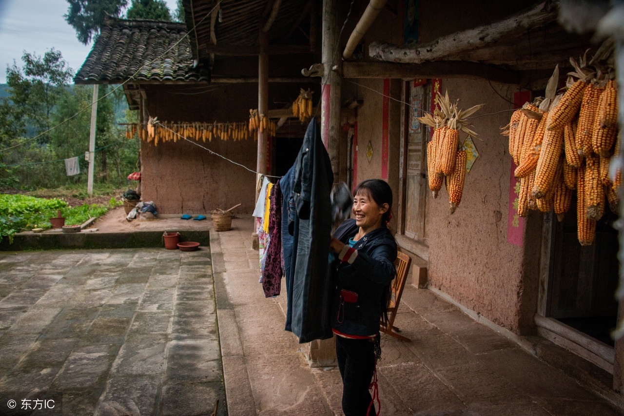 家里来三种动物预示什么,家中出现哪些动物一定要警惕