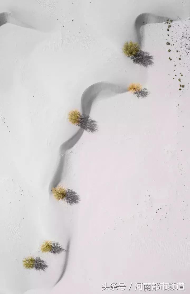 什么是中国,什么是中国特色社会主义