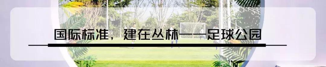 郑州足球小镇有真草足球场吗,郑州足球小镇现状