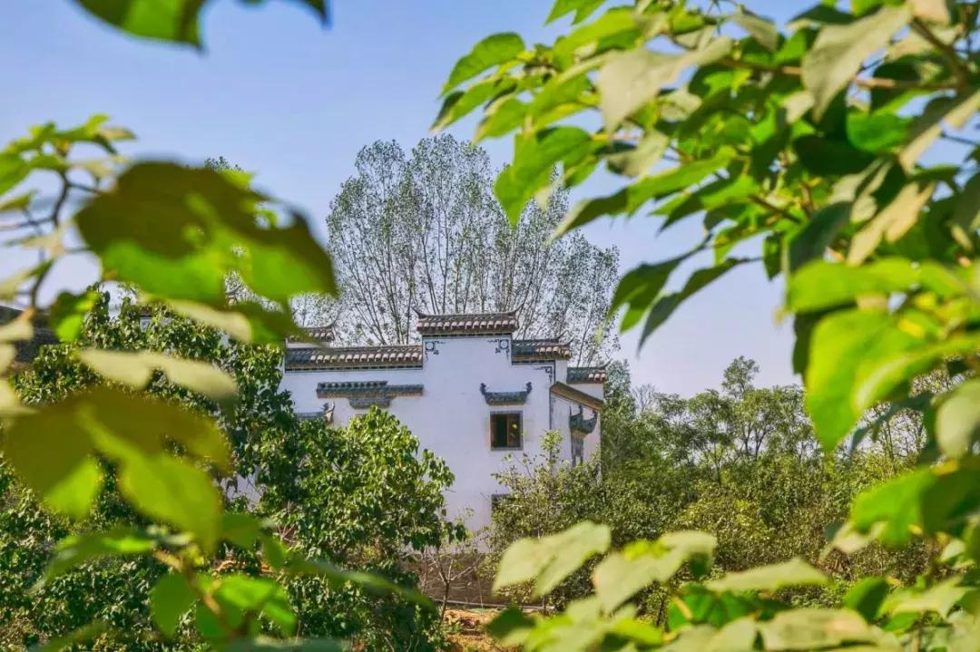 郑州足球小镇2019,郑州足球小镇有真草足球场吗