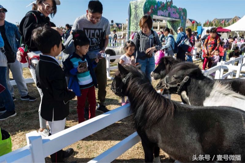 国庆假期哪里去？来环亚与Pony马一起纵横驰骋吧！