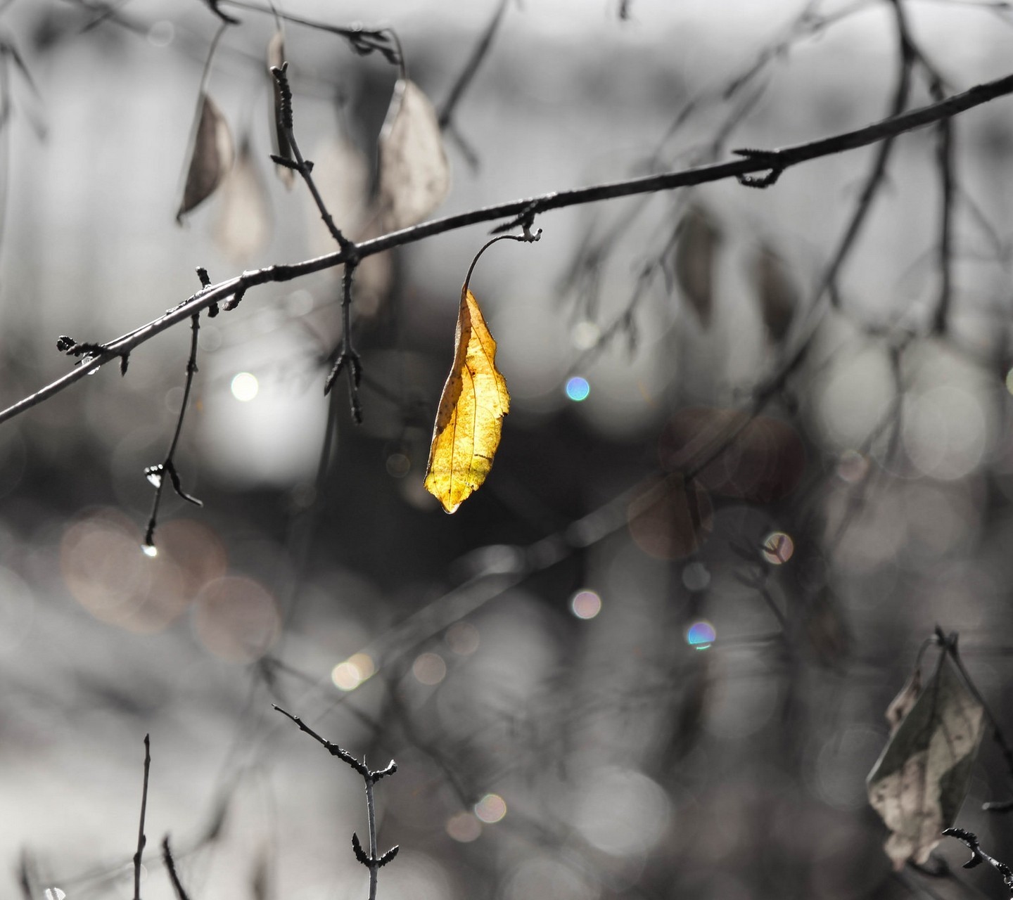 没钱时我们应该怎么办,没有钱咋办呀