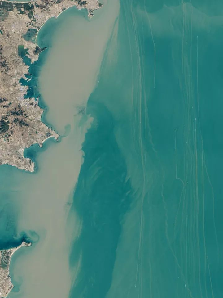 什么是中国传统文化,什么是中国文化