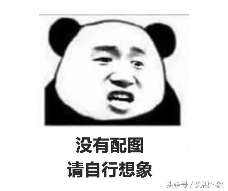 一小时造岛,造岛神器每小时挖出一个足球场