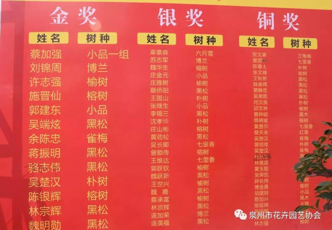 喜迎国庆展风采,迎国庆鲜花展美图