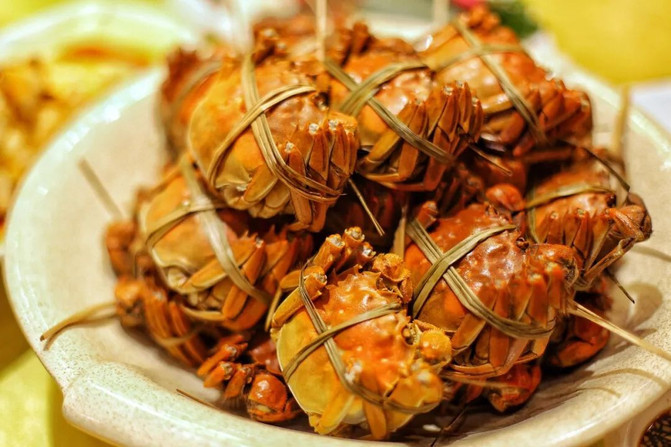 江南旅游注意事项及出行指南,旅游江南水乡