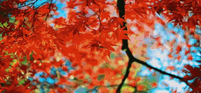 西安出发秦岭最美秋景自驾环线游,西安出发一小时深藏秦岭山水秘境