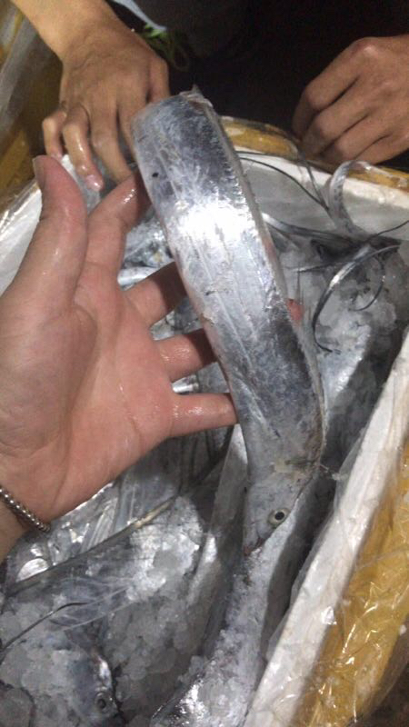 游客去舟山怎么买海鲜,舟山哪个岛买海鲜便宜实惠